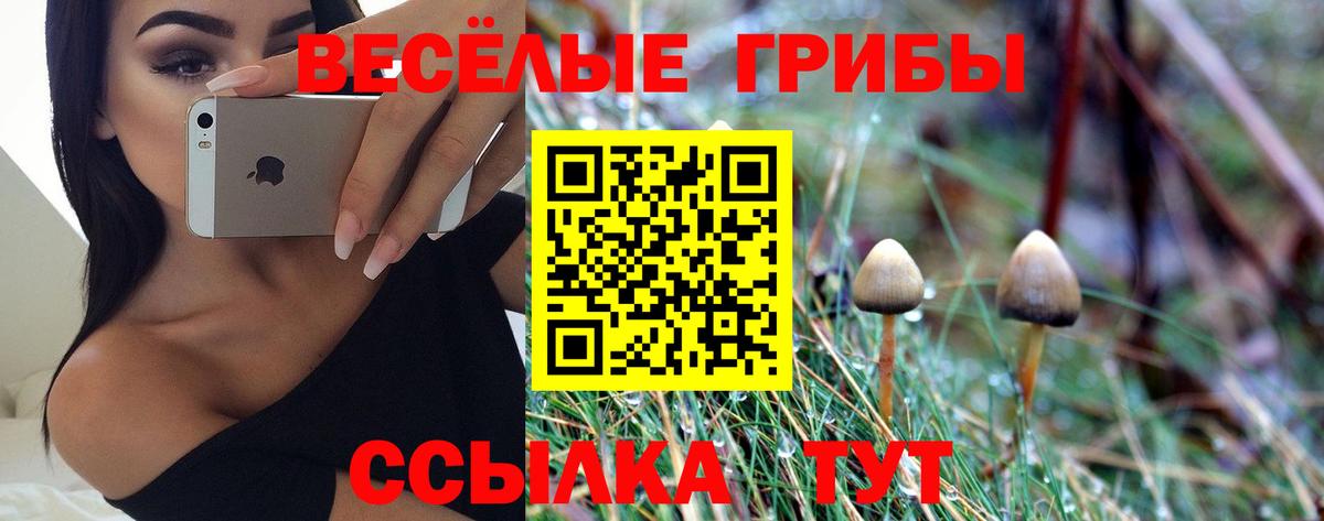 Псилоцибиновые грибы прущие грибы  Галлюциногенные грибы ЛСД  Вход с VPN  Алейск 